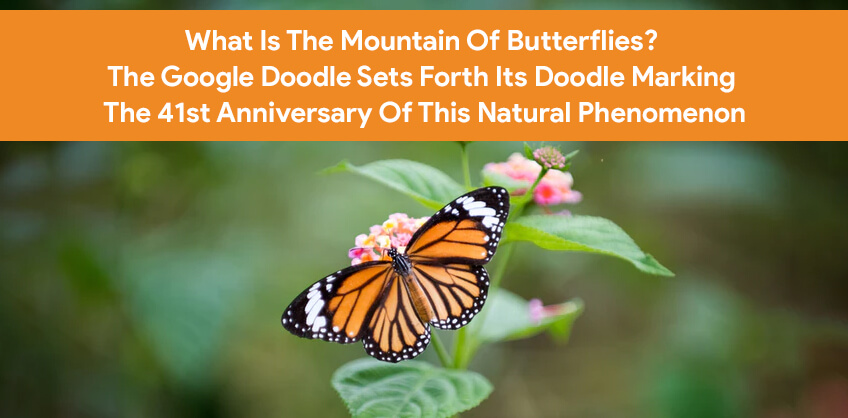 What Is The Mountain Of Butterflies?  The Google Doodle Sets Forth Its Doodle Marking The 41st Anniversary Of This Natural Phenomenon