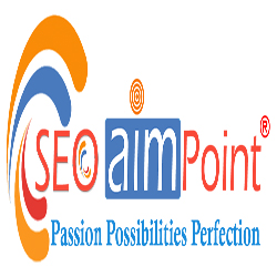 SEO AIM POINT Web Solution Pvt. Ltd. Top Rated Company on 10Hostings