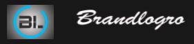 Brandlogro Digital Marketing Company Top Rated Company on 10Hostings