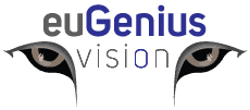 euGenius Vision Cleveland SEO