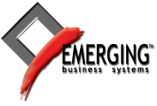 EMERGING BUSINESS SYSTEMS, LTD.