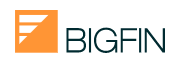 Bigfin.com LLC