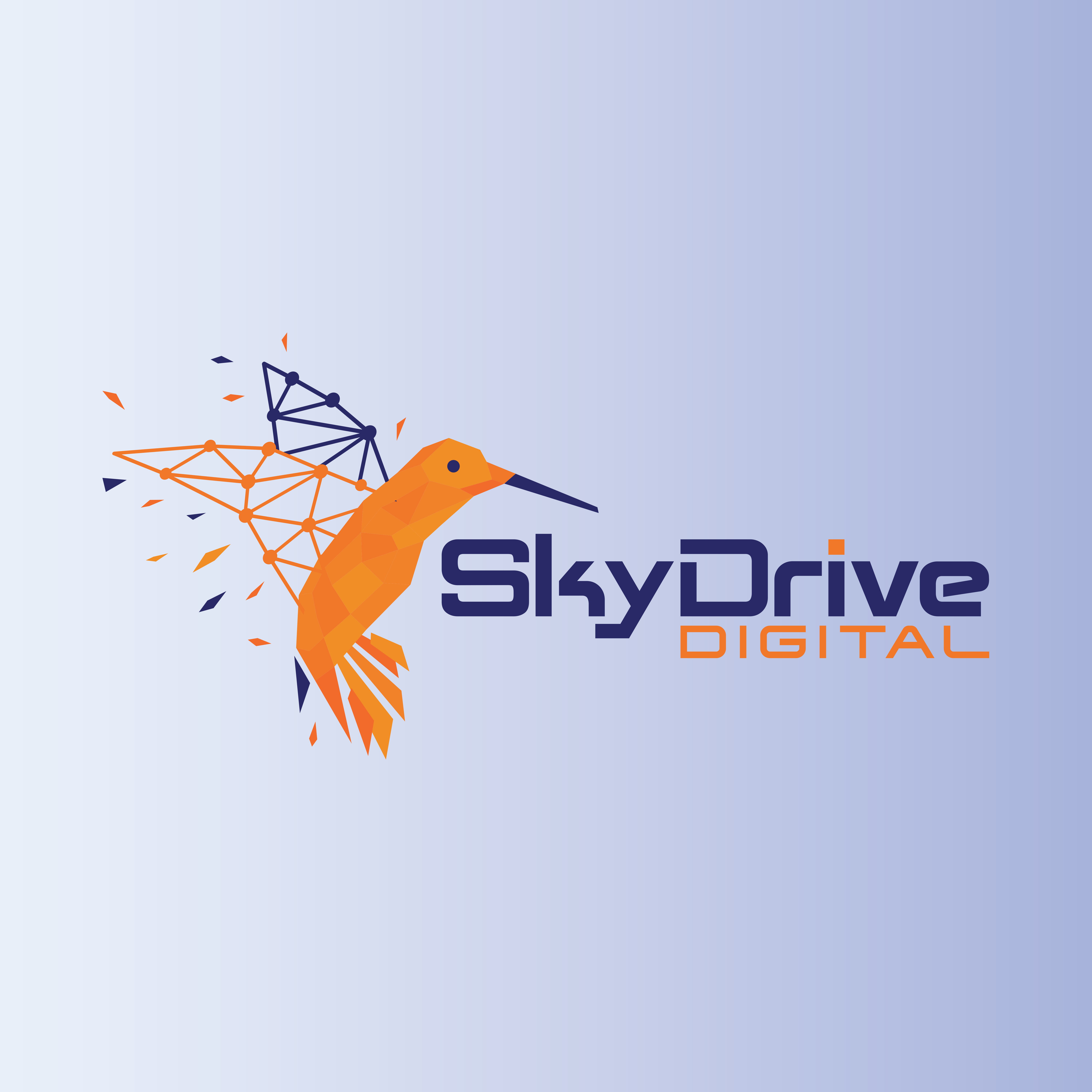 SkyDriveDigital Web Design & SEO Marketing Agency