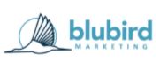 Blubird Marketing
