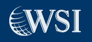 WSI Websense