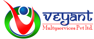 Veyant Multyservices P Ltd.