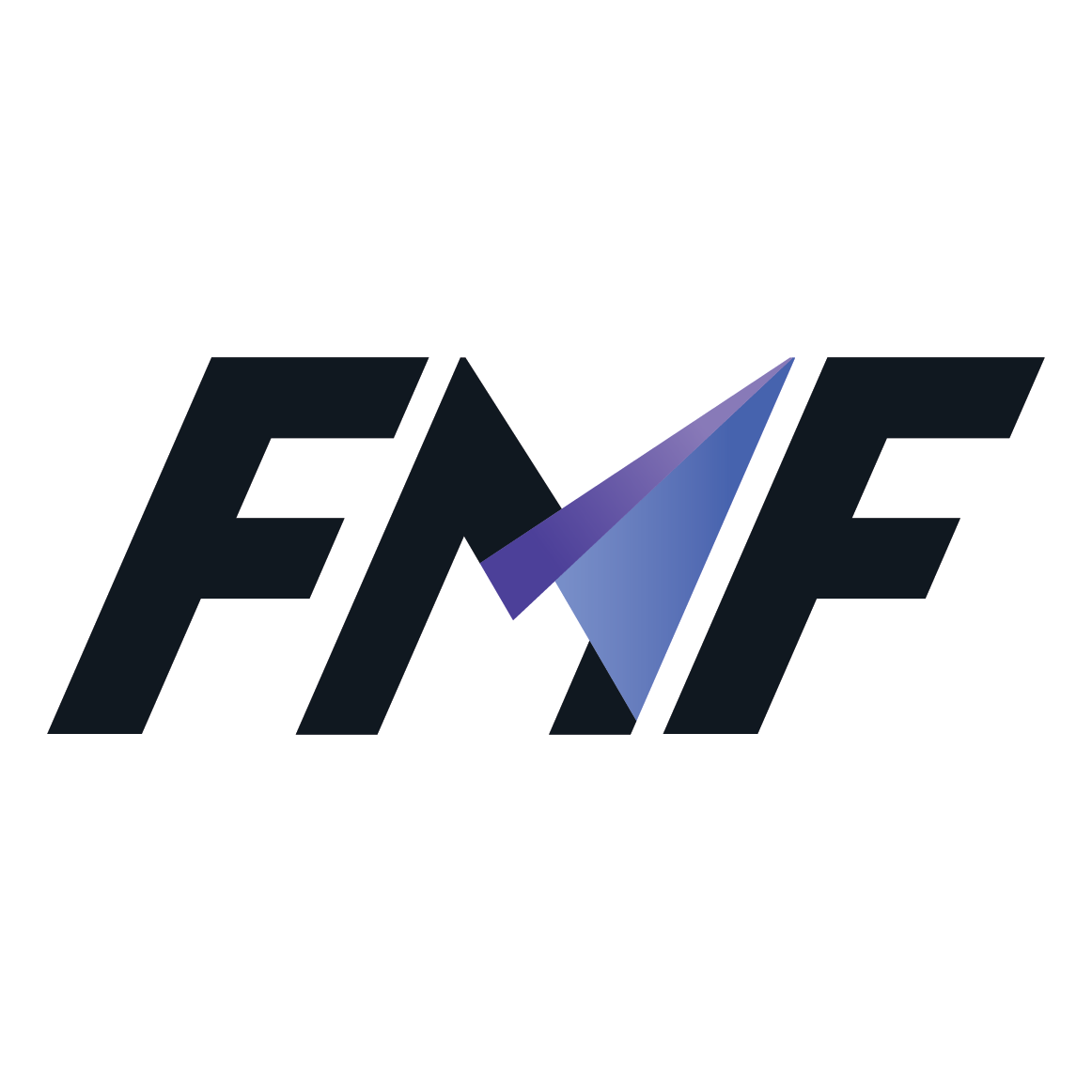 FMF Co., Ltd.
