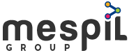 Mespil Group