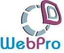 WebPro Solutions Inc