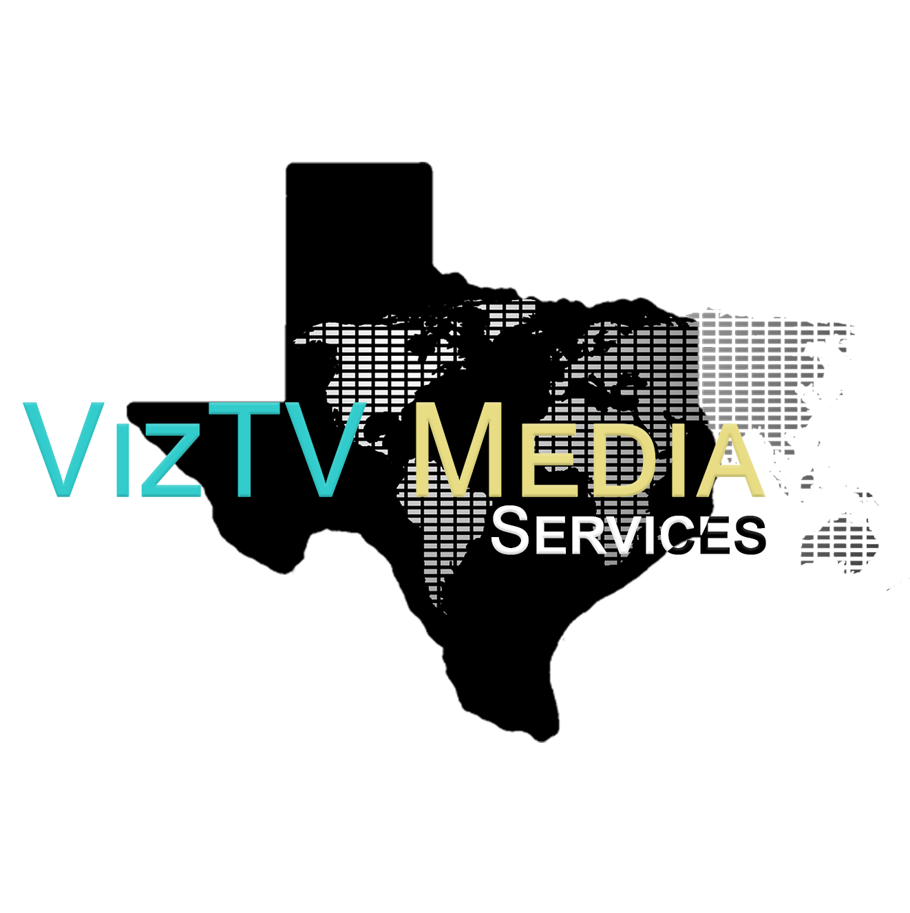 VizTV Media Services