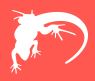 Lounge Lizard Worldwide, Inc.