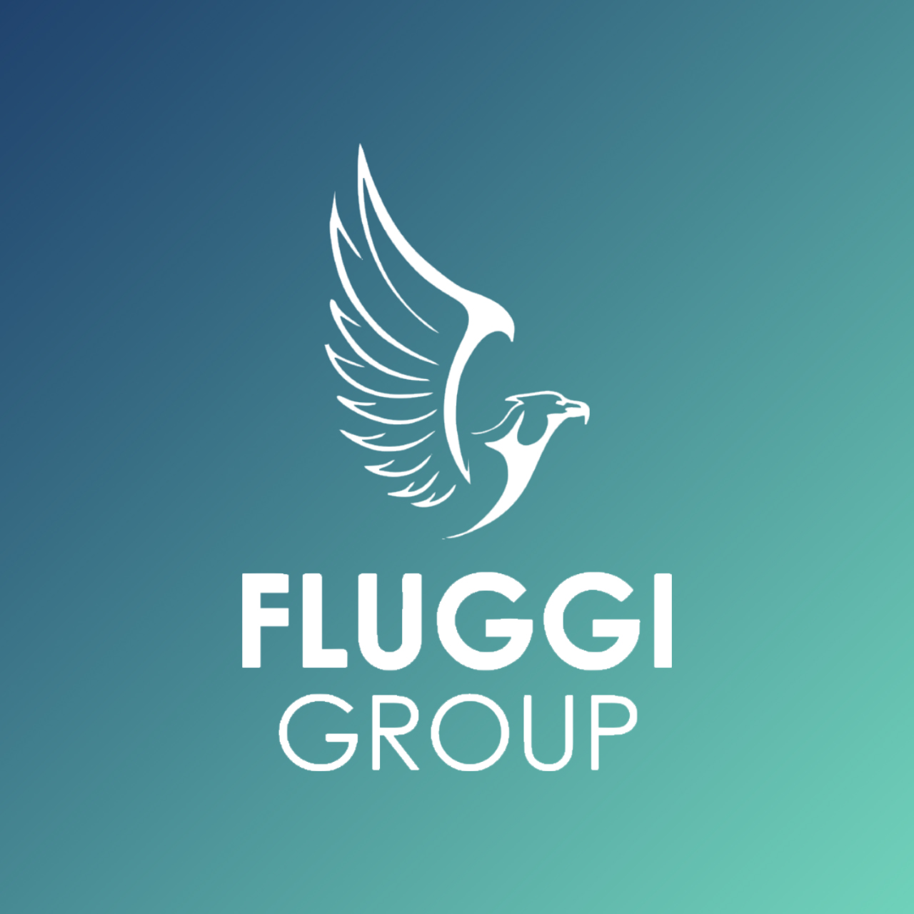 FLUGGI GROUP