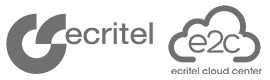 Ecritel Inc Top Rated Company on 10Hostings
