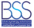 Blue Synergy Solutions