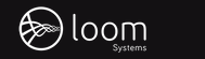 Loom Systems