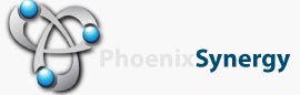 Phoenix Synergy Top Rated Company on 10Hostings