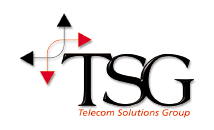 TSG Top Rated Company on 10Hostings