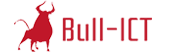 Bull ICT Top Rated Company on 10Hostings