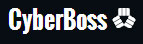 Cyber Boss Top Rated Company on 10Hostings