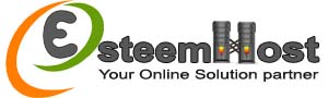 Esteem Host Top Rated Company on 10hostings